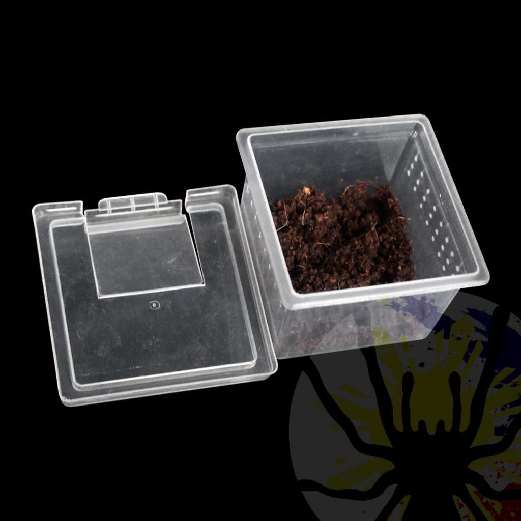 (Wholesale) Square Terrestrial Breeding Box (Small) | Terrarium | Tarantula & Scorpion Enclosure #4