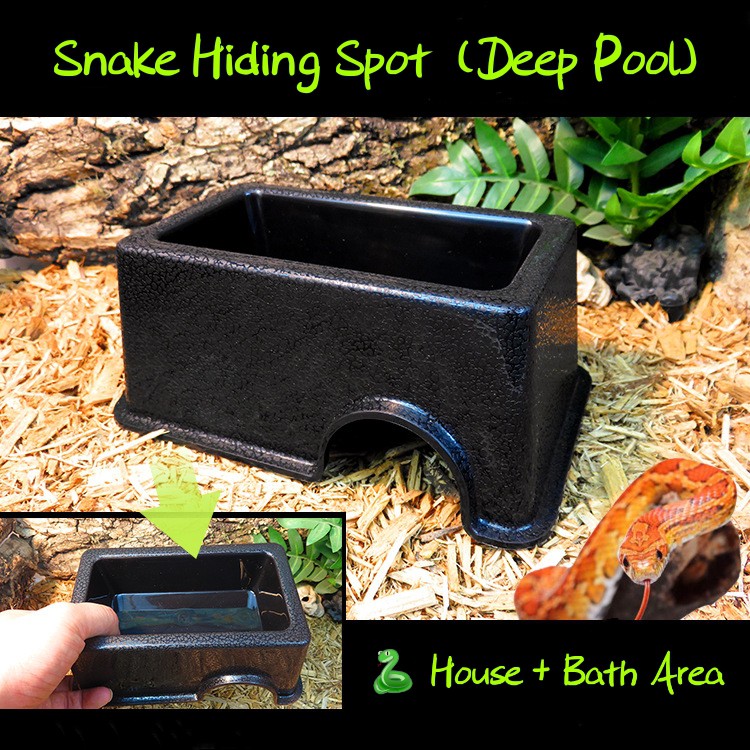 Reptile Snake hide box deep water pool on top corn snake hog nose