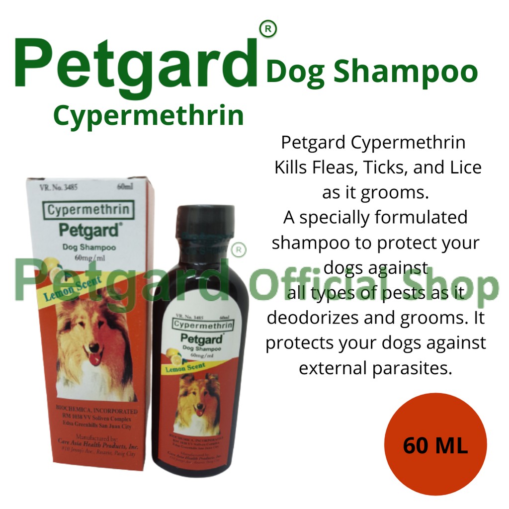 can dog shampoo kill lice