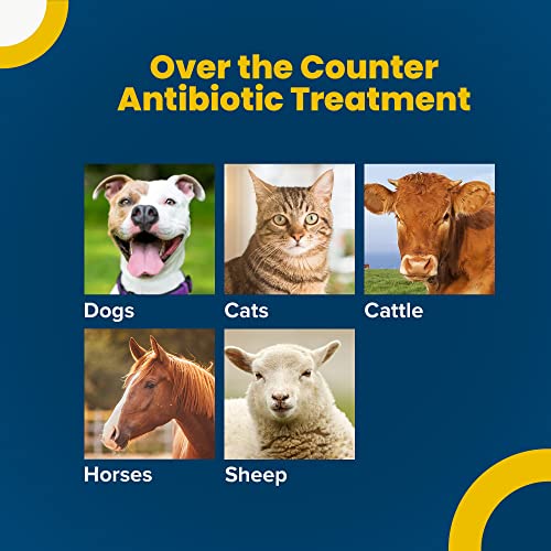 Terramycin Antibiotic Ointment for Eye Infection Treatment in Dogs, Cats, Cattle, Horses, and Sheep, #3