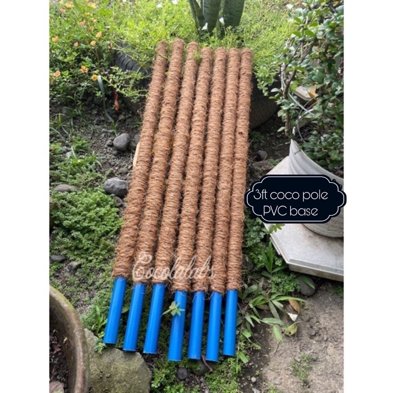 Coco pole / PVC based cocopole plant support 3ft (PVC) Shopee Philippines
