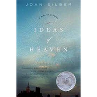 (PRE LOVED BOOK) Ideas of Heaven by Joan Silber short story collection