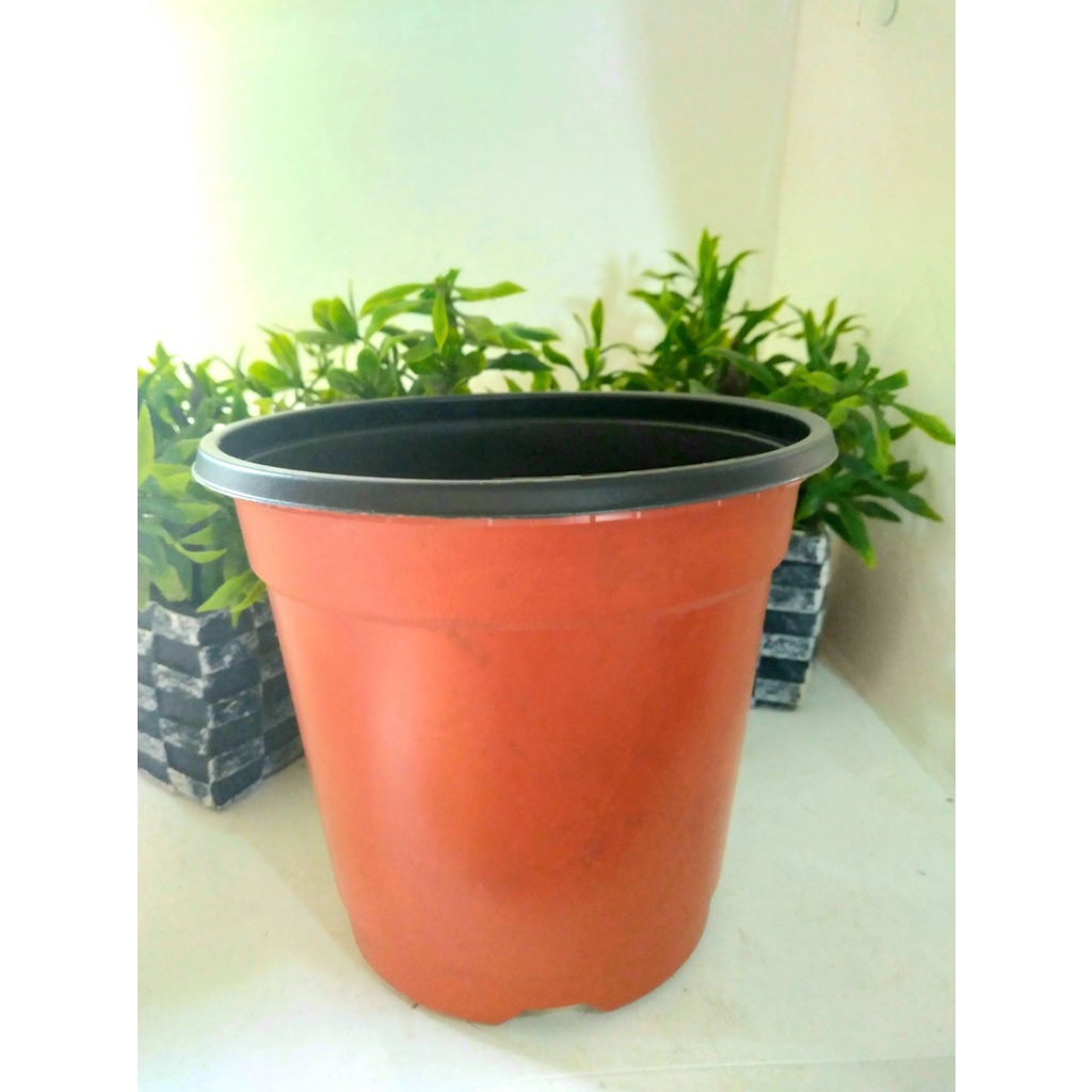 Plastic Nursery Pot/ Pots Seedling Flower (15cm*13cm) Shopee Philippines