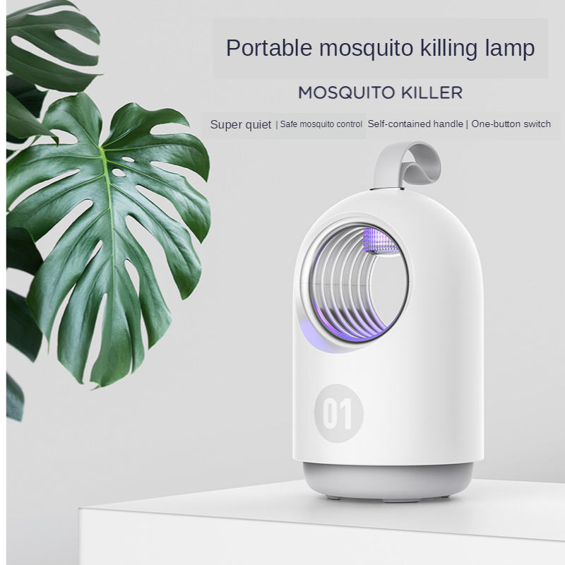 indoor mosquito control