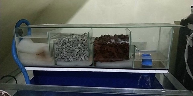 sump aquarium filter