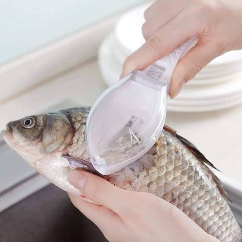 Practical Enviromental Fish Scaler Clam Opener Scale Scraper Kitchen Accessories 