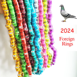 50Pcs 2024 Years Pigeons Foot Ring 8*11mm Pigeons foot ring Parrots Leg Rings Birds Training Tool with numbers