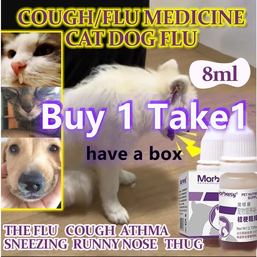 Cold Symptoms Cat Flu Medication Shop Cat Medicine Colds For Sale