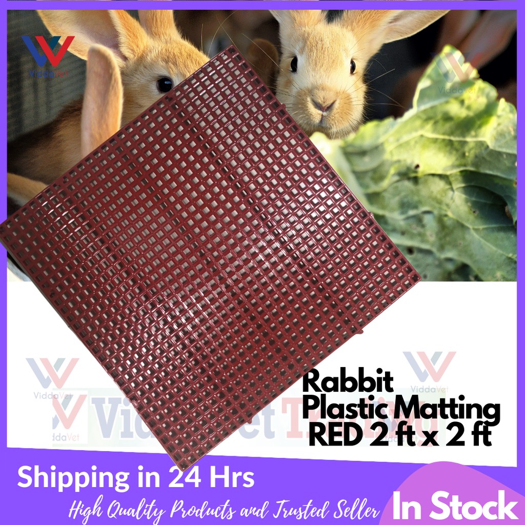 RED 2 feet X 2 feet Heavy Duty Plastic Matting for Rabbits Anti Sore