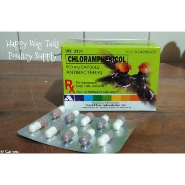 Chloromycetin price