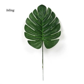 Monstera Leaves Theme Folder