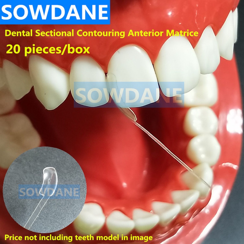Dental Sectional Contoured Matrice Dental Transparent Proximal Anterior