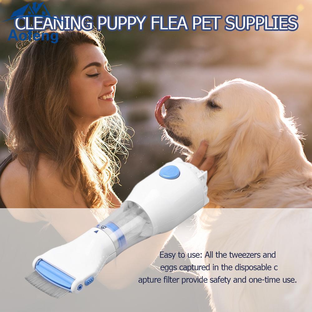 easy flea treatment for dogs