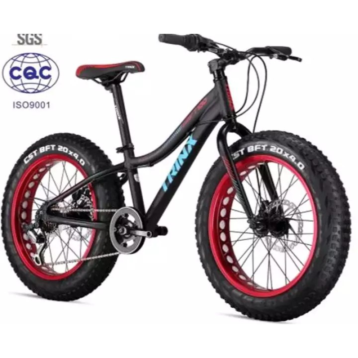 fat bike shopee