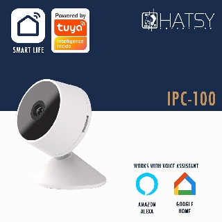 google home surveillance camera