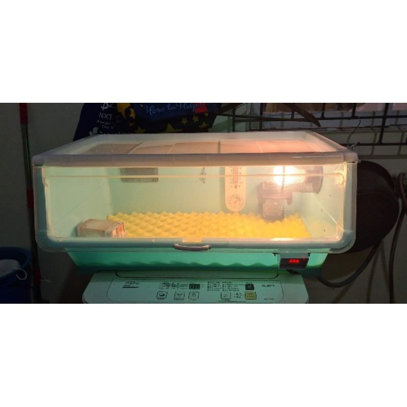 Incubox (Incubator for Newborn Puppies) Shopee Philippines