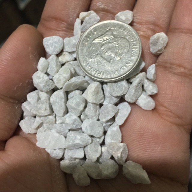 White Marble Chips 1KG Shopee Philippines
