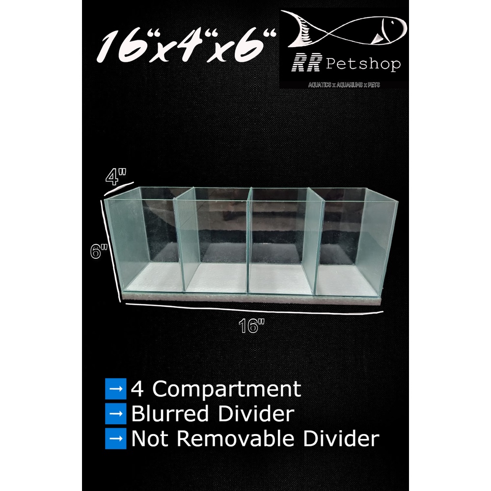 BETTA TANK l AQUARIUM DIVIDER 16x4x6 Shopee Philippines