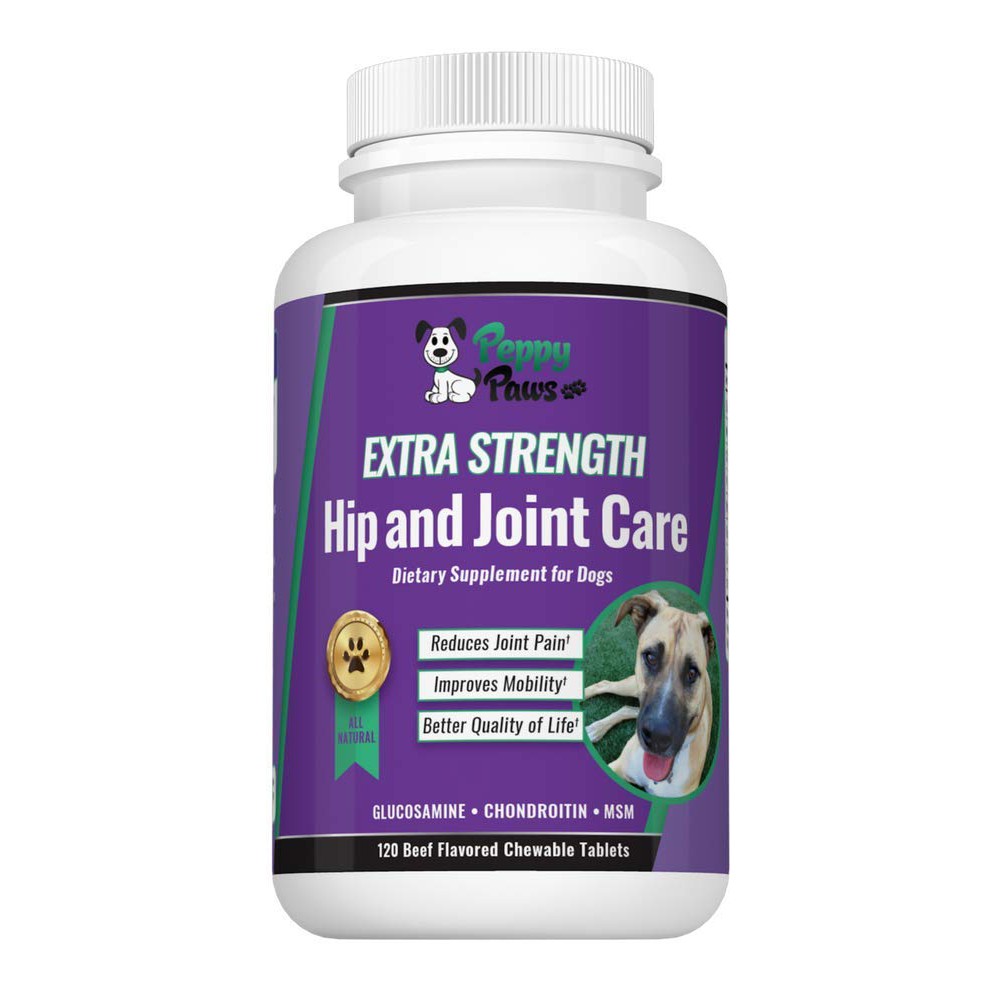 Do Puppies Need Glucosamine