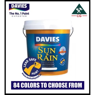 DAVIES 16 liters Sun and Rain Odorless Elastomeric Paint for Concrete/Masonry (Page 4)