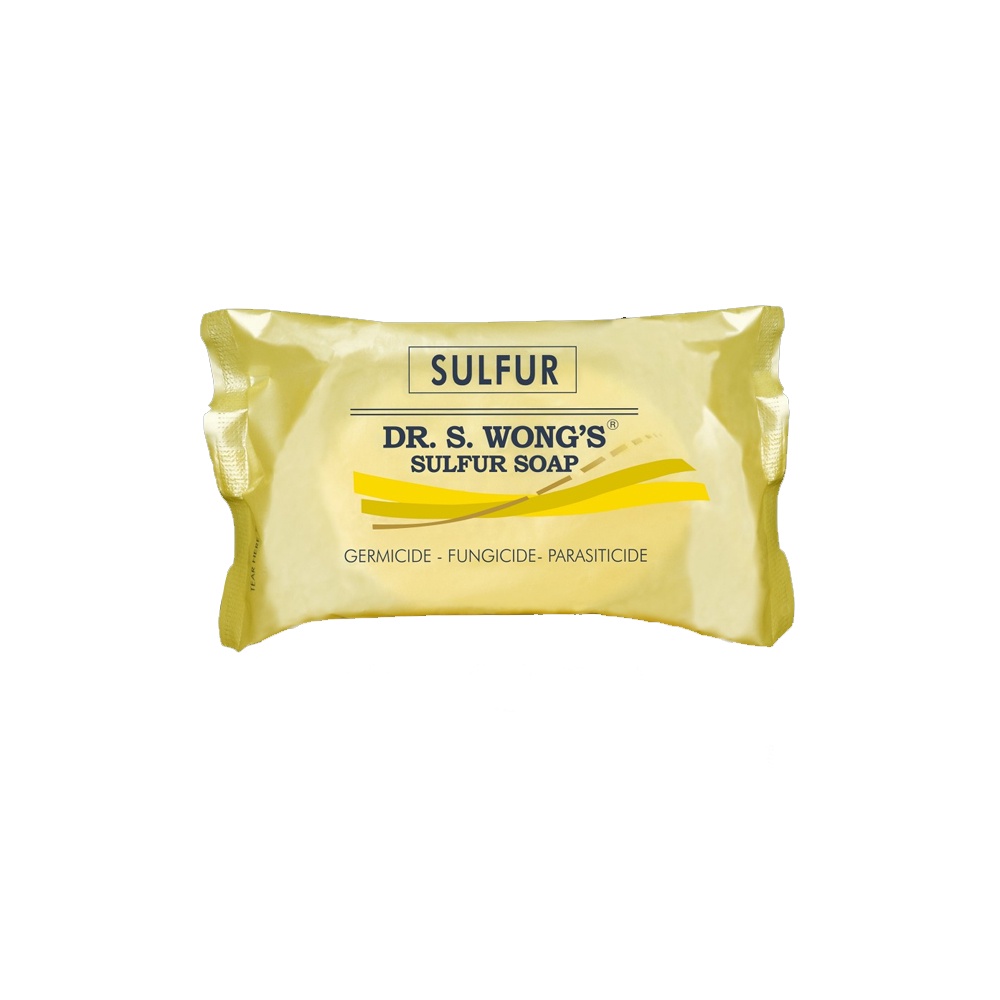 Dr. Wong Sulfur Soap Regular 80g Shopee Philippines