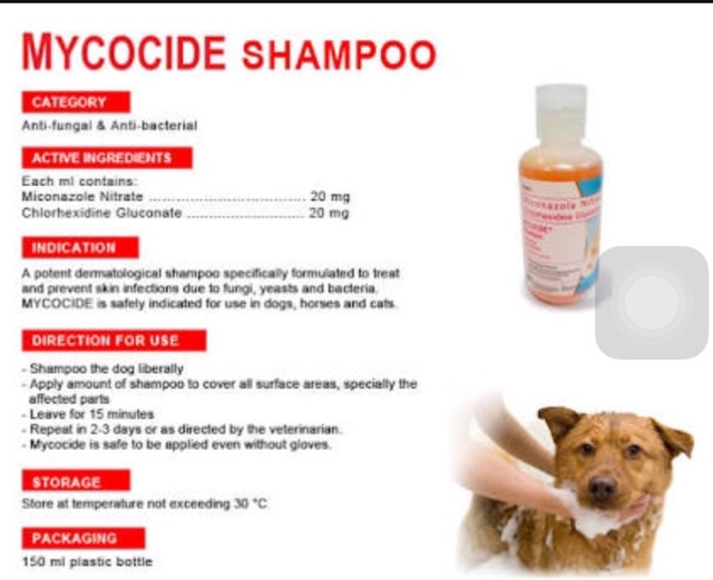 mycocide shampoo for mange