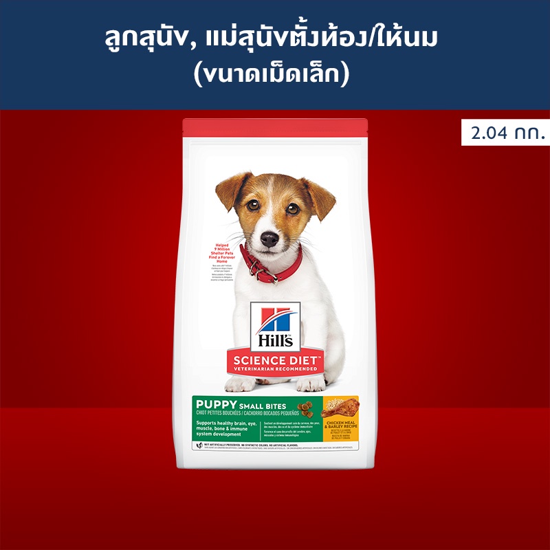 hills science diet puppy small bites Best Prices and Online Promos