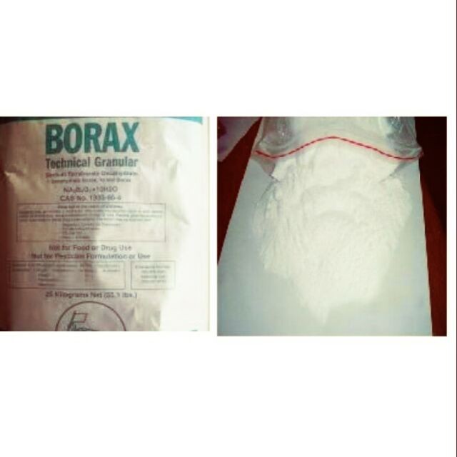 borax mange treatment for dogs