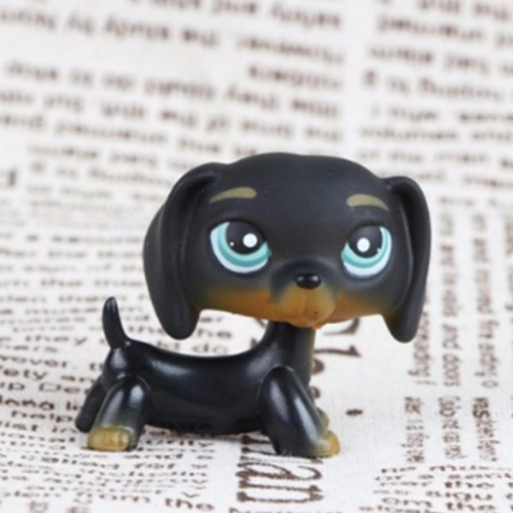 lps dachshund 675