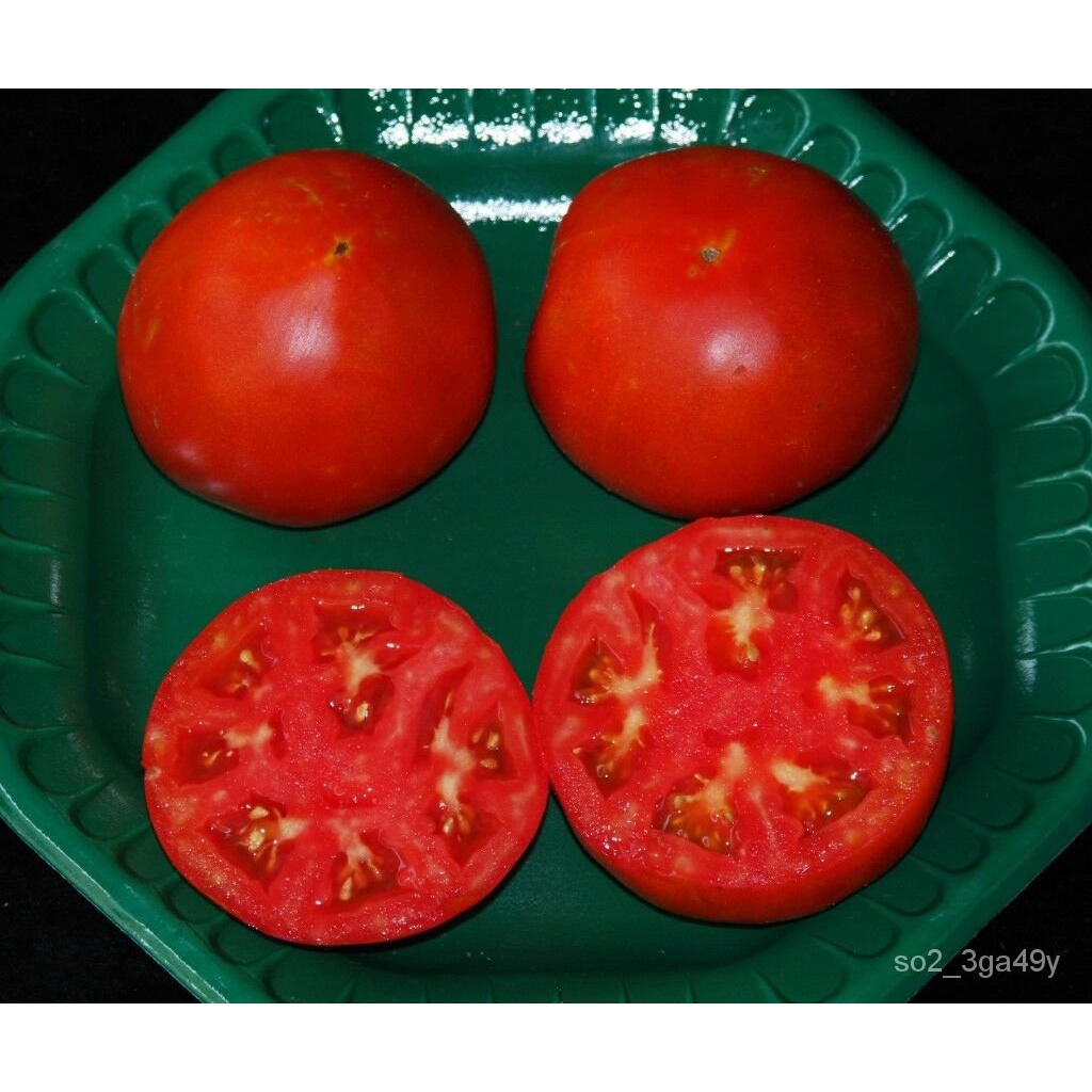 Guaranteed germination rate CELEBRITY HYBRID TOMATO SEEDS***BULK 300