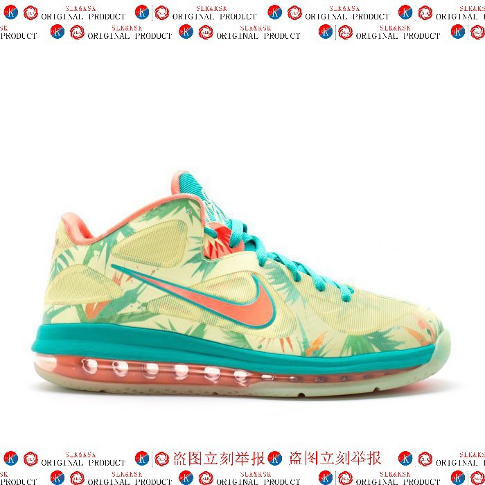 lebron 9 low