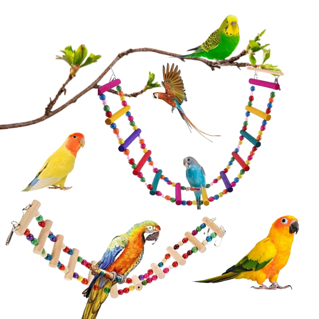 The Bird Shop PH Colorful Wooden Bridge Bird Toys #1