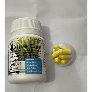 Olive Care Cats Cats Gastric Vitamins Drug For Acute Diarrhea Intestine Infection anti-Bacterial And anti Intestine parasis #2