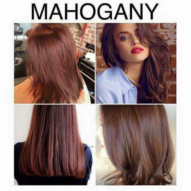 Mahogany Rene Professionals Hair Color Shopee Philippines