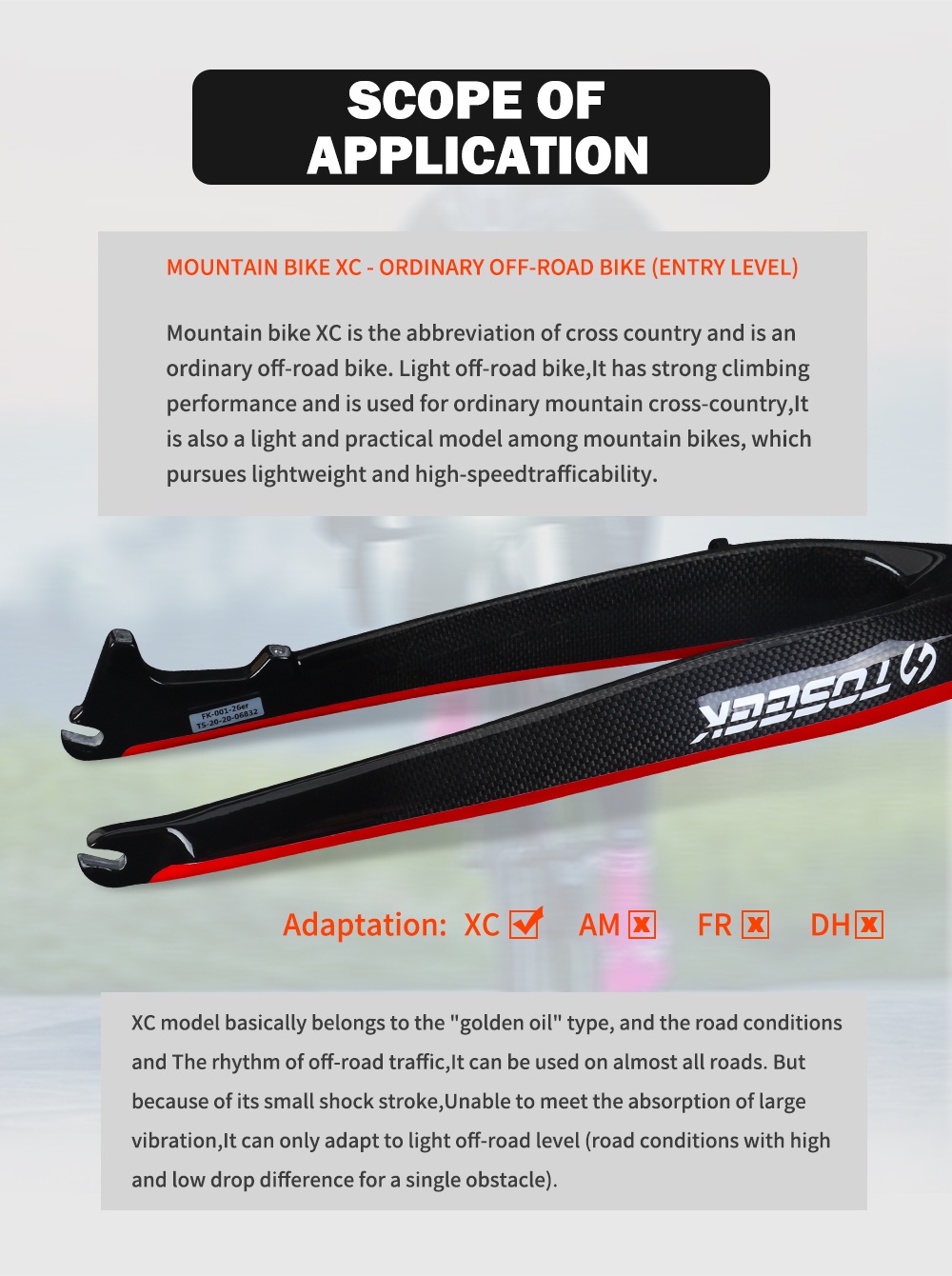 chainsaw engine on bike