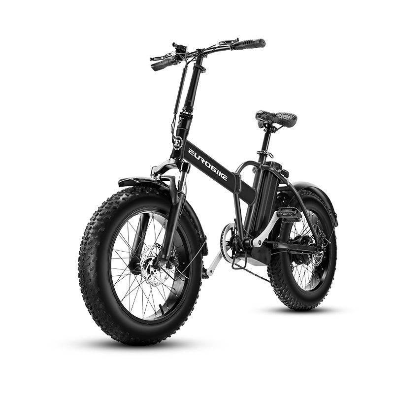 Folding electric bicycle 48V 500W Electric Bicycle 20 Inch 4.0 Wide
