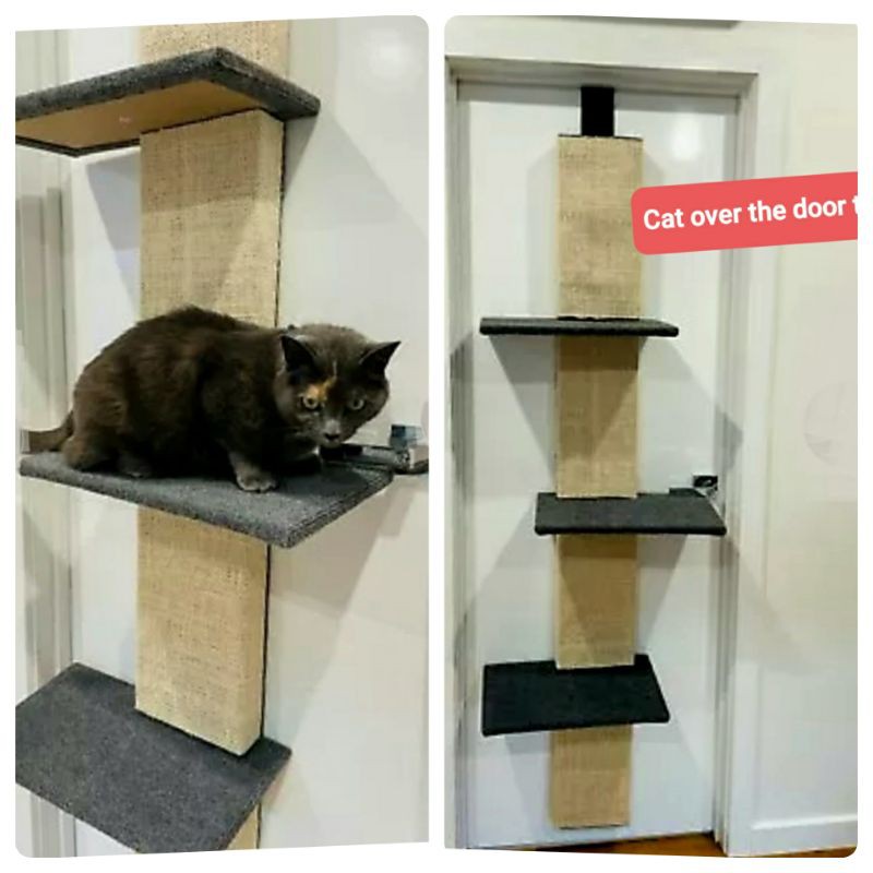 Cat Door Tower