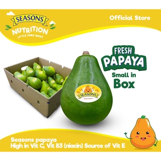 Seasons Fresh Papaya Small 11kg