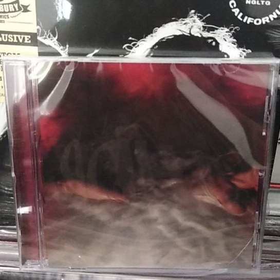 HAYLEY WILLIAMS Flowers For Vases CD (Case Dent) Shopee Philippines