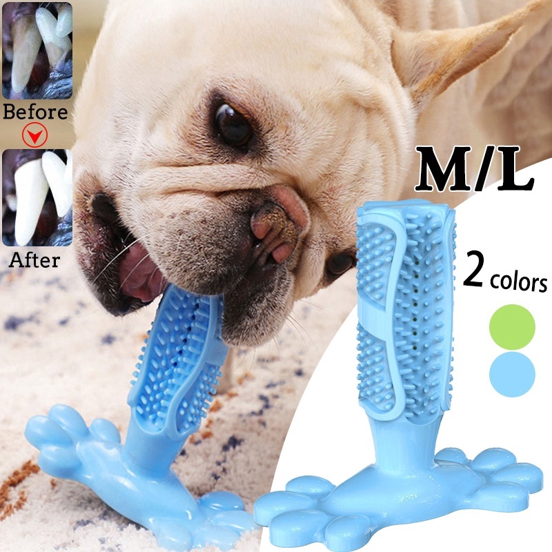 soft dog toothbrush