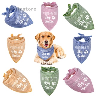 Promote to Big Sister Big Brother Pet Triangle Dog Scarf Pregnancy Announcement Bandana