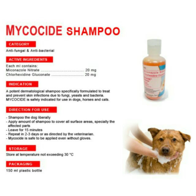 Mycocide Shampoo Antifungal/Antibacterial Shopee Philippines