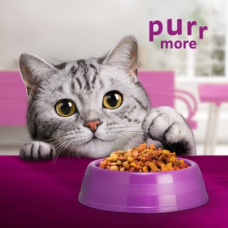 WHISKAS Dry Cat Food – Cat Food Sack in Ocean Fish Flavor, 1.2kg. Pet Food for Adult Cats #3