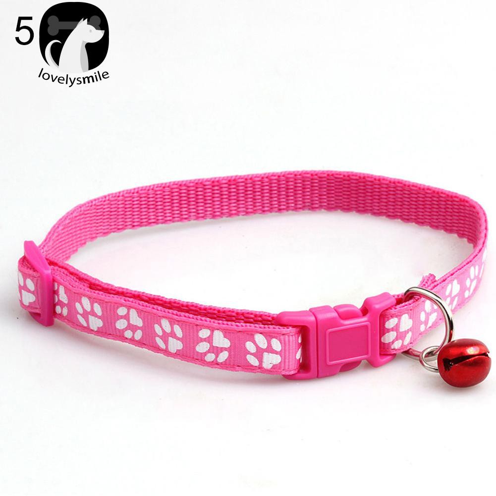 fashion dog collar