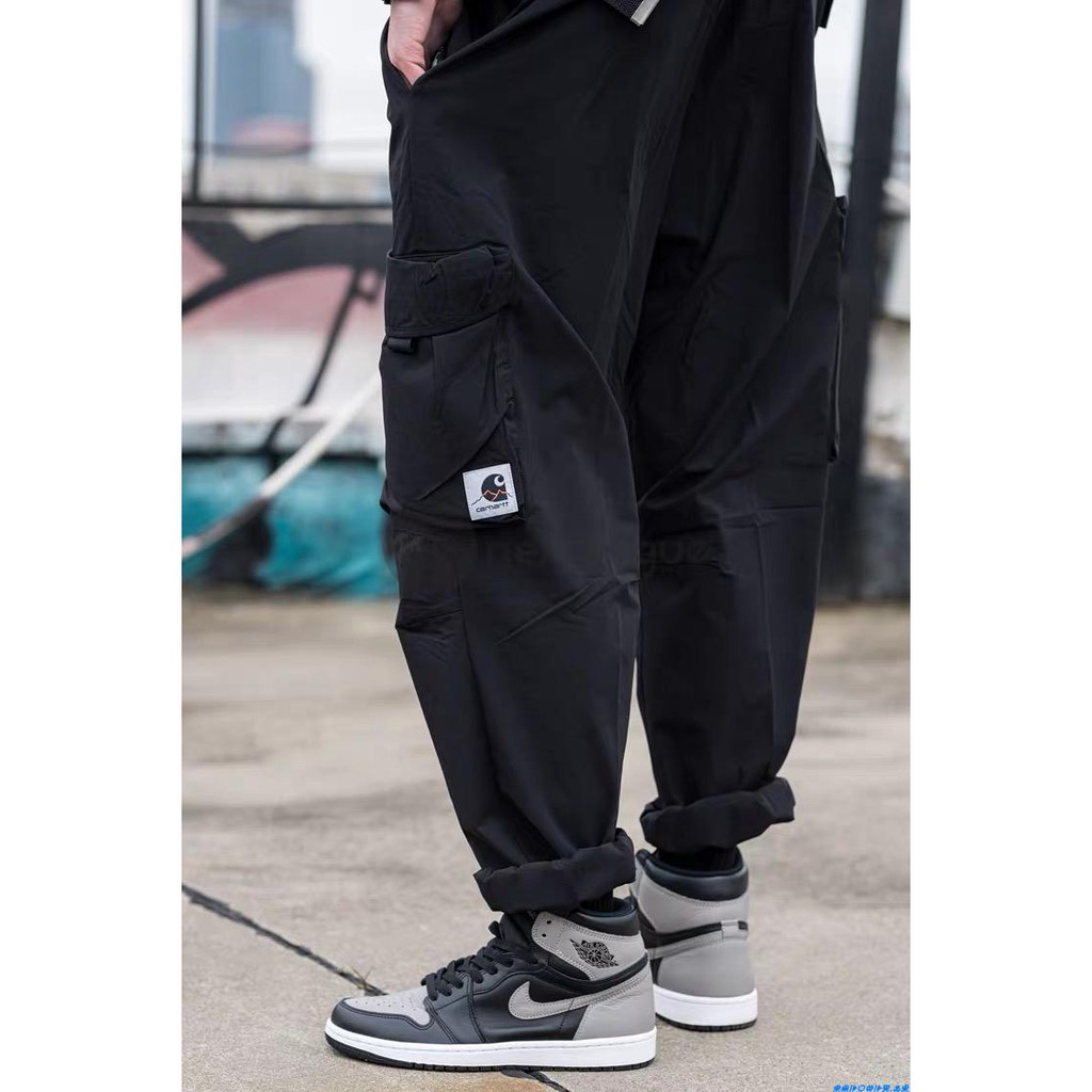 carhartt hayes pant