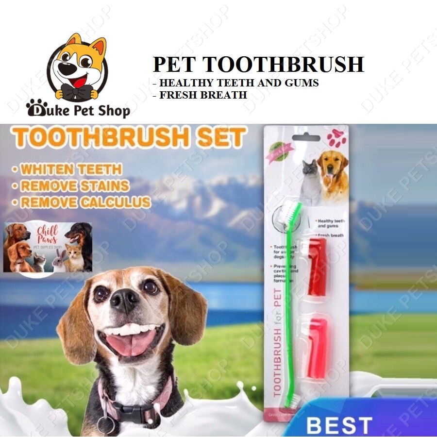 Pet Dog Cat Toothbrush | Shopee Philippines