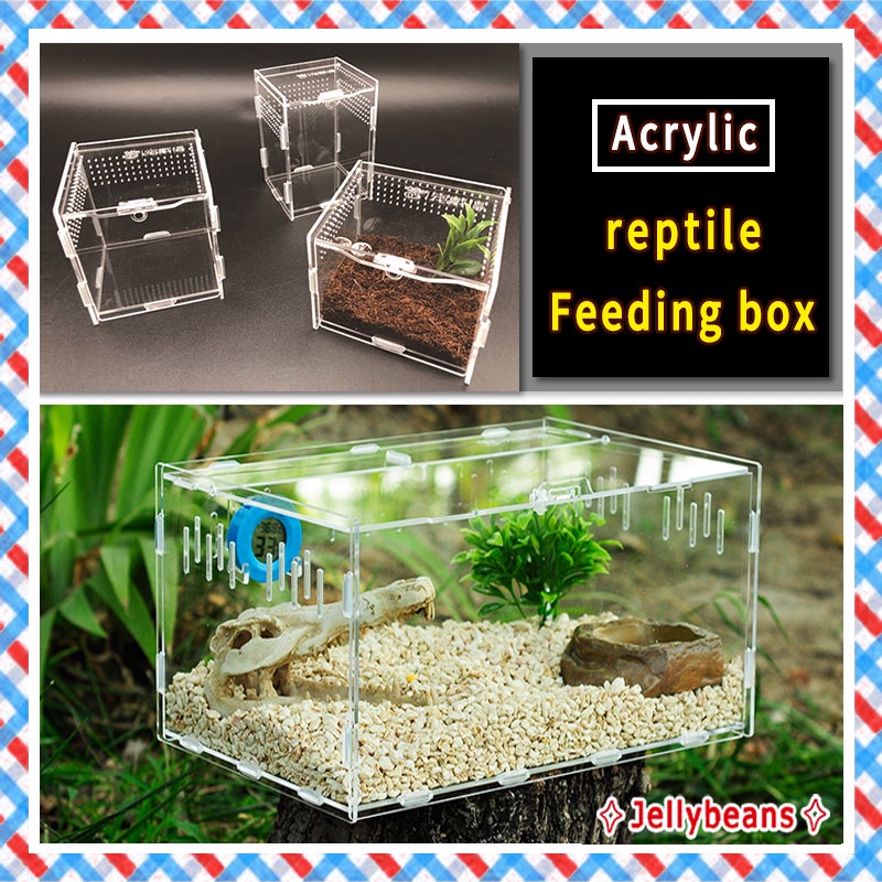 Acrylic reptile terrarium High transparent reptile incubator Spider