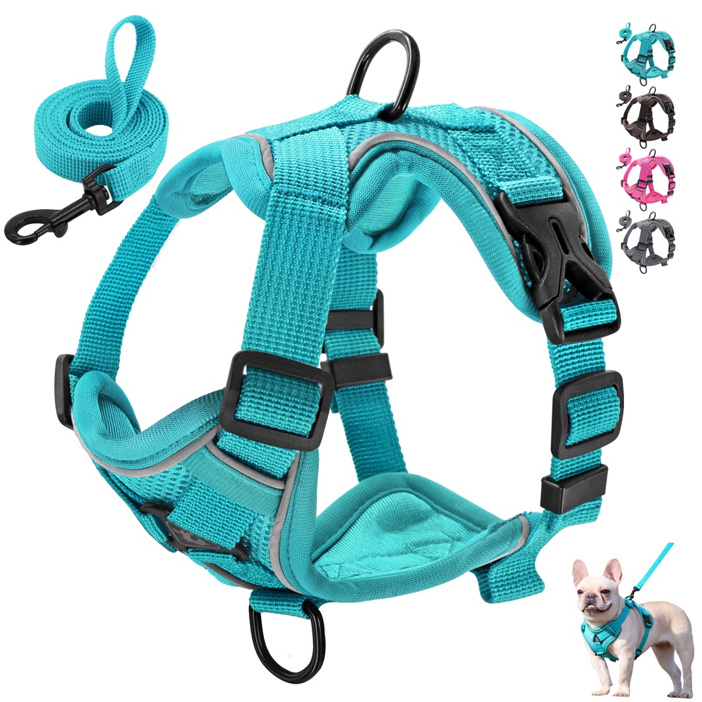 Reflective No Pull Dog Harness & Leash Set Front Clip Soft Mesh Padded Vest Shopee Philippines