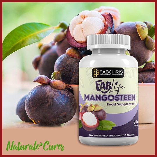 PURE Mangosteen 500mg Antioxidant Heart Cancer Diabetes Stroke