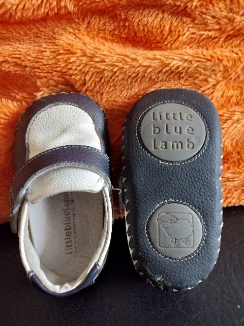little blue lamb shoes